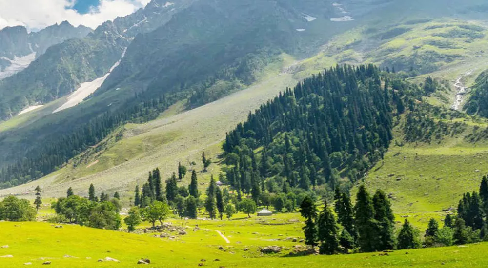 Kashmir Tour (5N/6D)