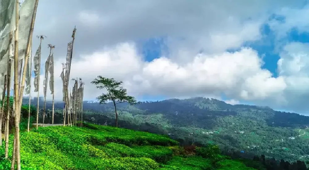 Dooars | Gorumara | Coochbehar