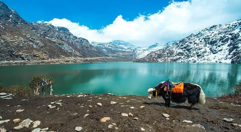 Sikkim | Darjeeling Tour Package (7N / 8D)